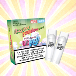 elfbar elfa kaufen Pod Pomme Pêche - Big Puff Reload